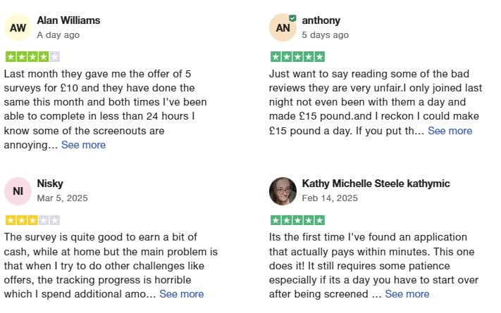 FiveSurveys TrustPilot Reviews